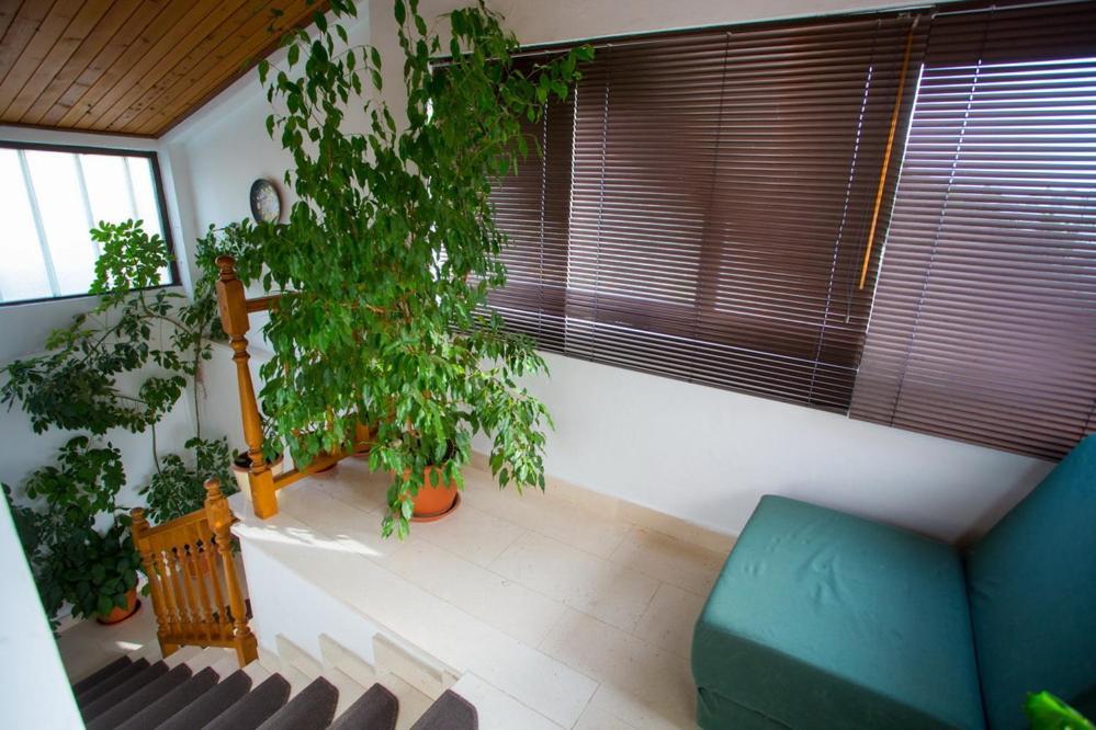 Apartments Tanja Podgora Kültér fotó