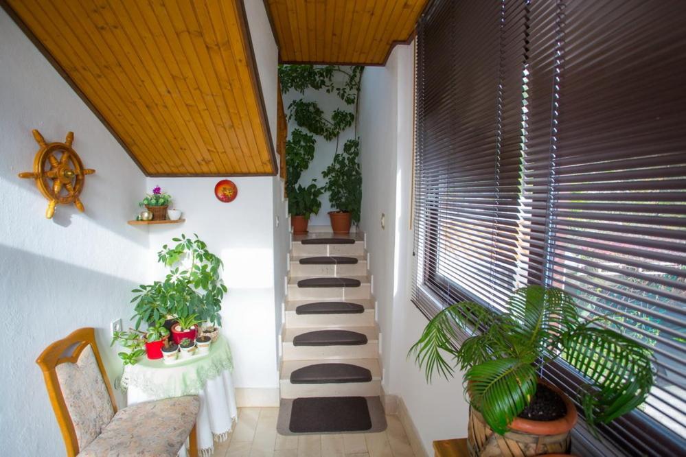 Apartments Tanja Podgora Kültér fotó